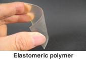 Elastomeric polymer
