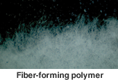 Fiber-forming polymer