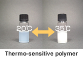 Thermo-sensitive polymer