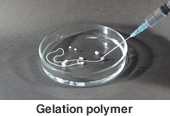 Gelation polymer
