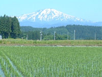 ∧富近岡