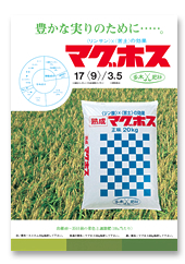 マグホス